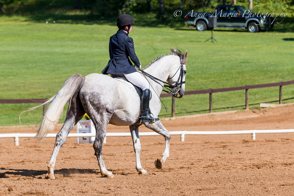 Otter Creek Dressage anyaotterson Flickr