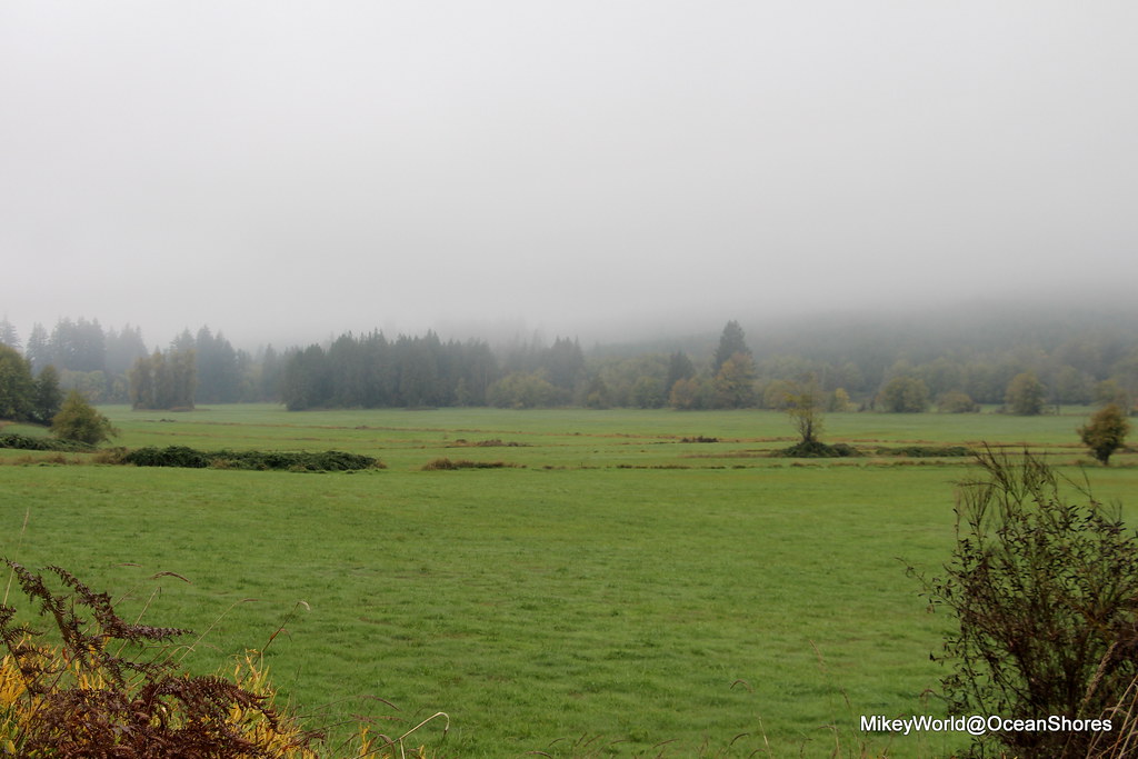 Misty Fields of Skookum Creek Skookum Valley Farm along SR… Flickr