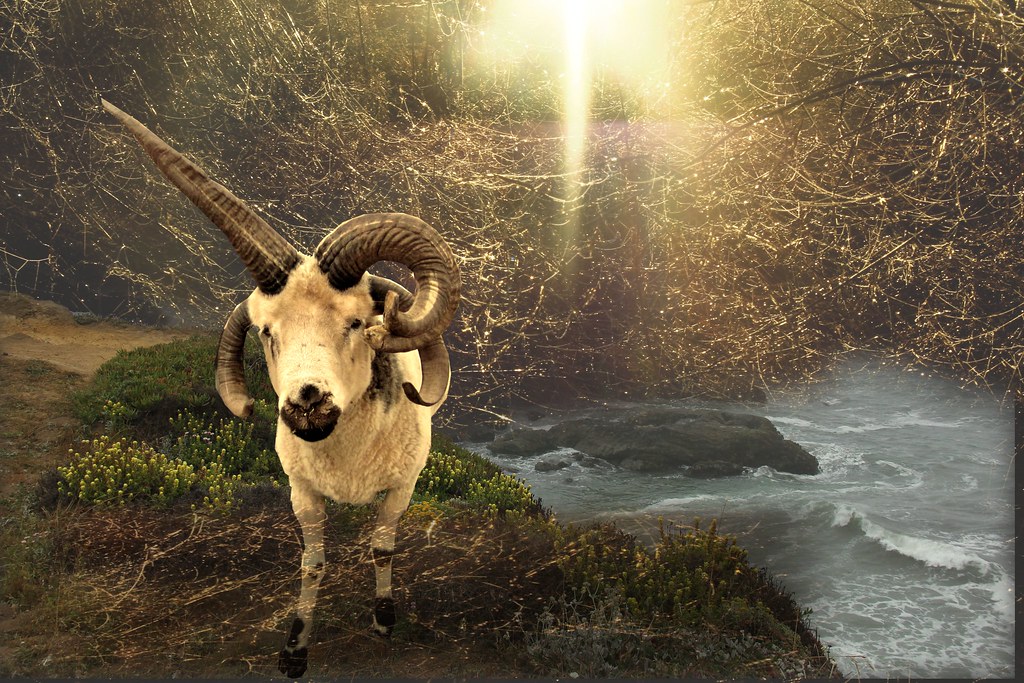 Pricus, Father of the SeaGoats The Kreative People group … Flickr