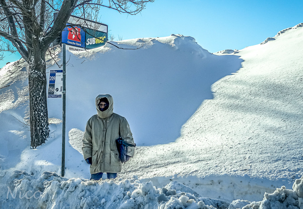 We are expecting a lot of snow this winter DSC02301 Nous a… Flickr