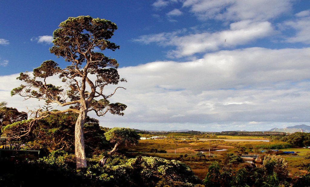 Northland Landscape. Ruakaka is a small township in the no… Flickr