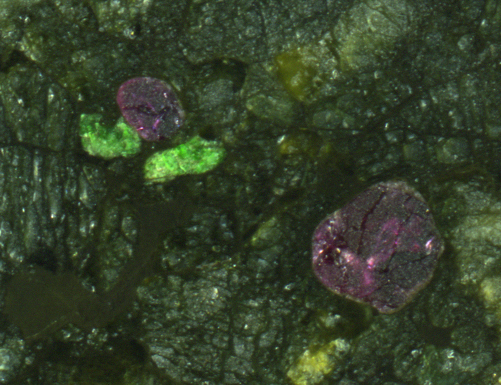 lherzolite xenolith from a kimberlite pipe (Preca… Flickr