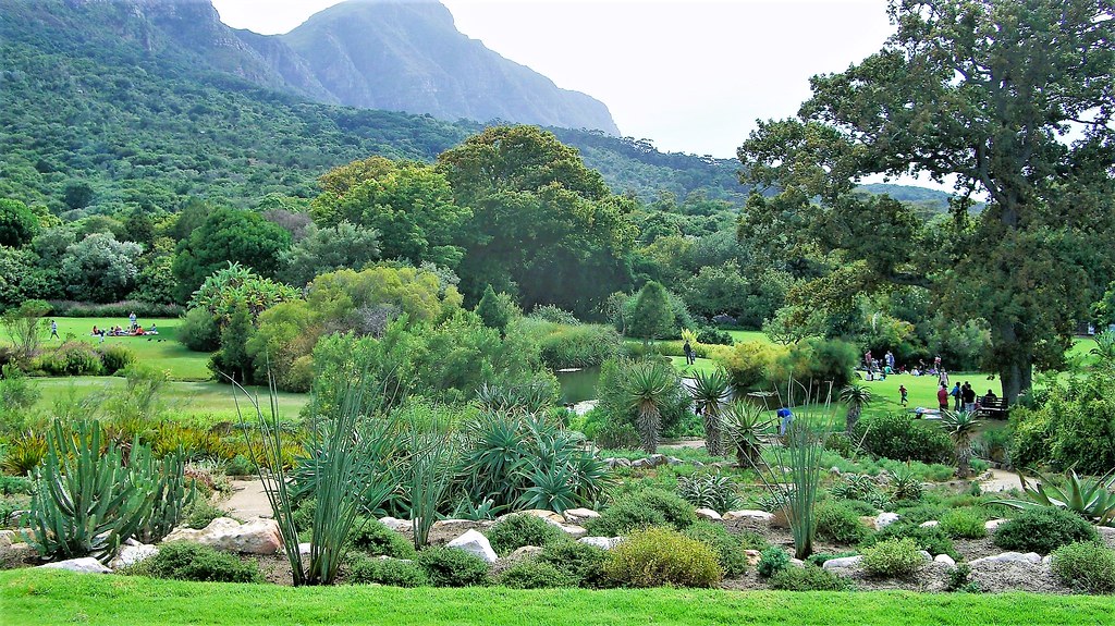 Cape Town's Stellenbosch Botanical Gardens Graham Hart Flickr