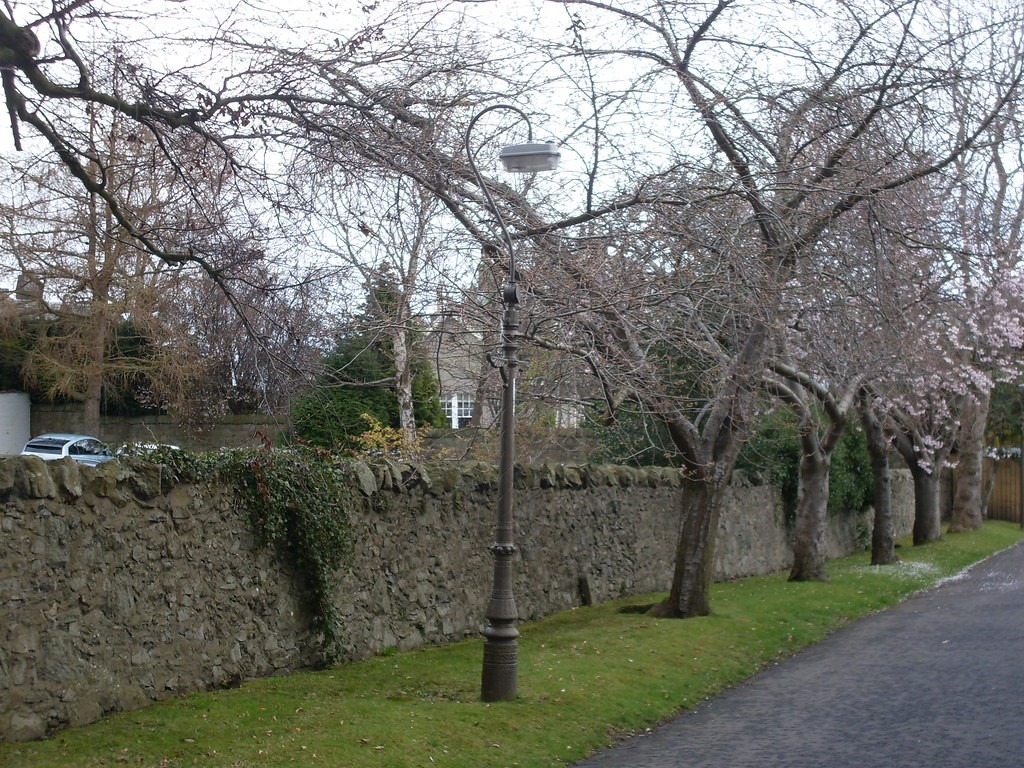 901440 Easter Belmont Road EAV03 Easter Belmont Road, … Flickr