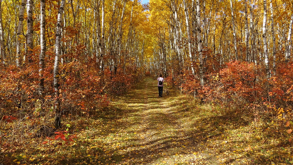 Birds Hill Provincial Park, Manitoba (481673) Birds Hill P… Flickr