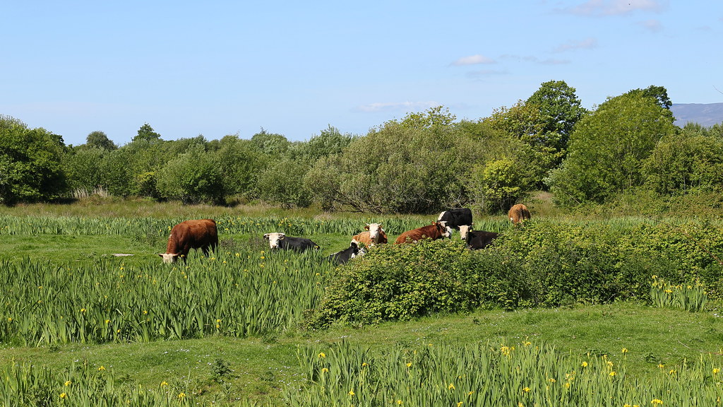 Milltown, Co. Kerry (506435) Milltown, Co. Kerry, Ireland Flickr
