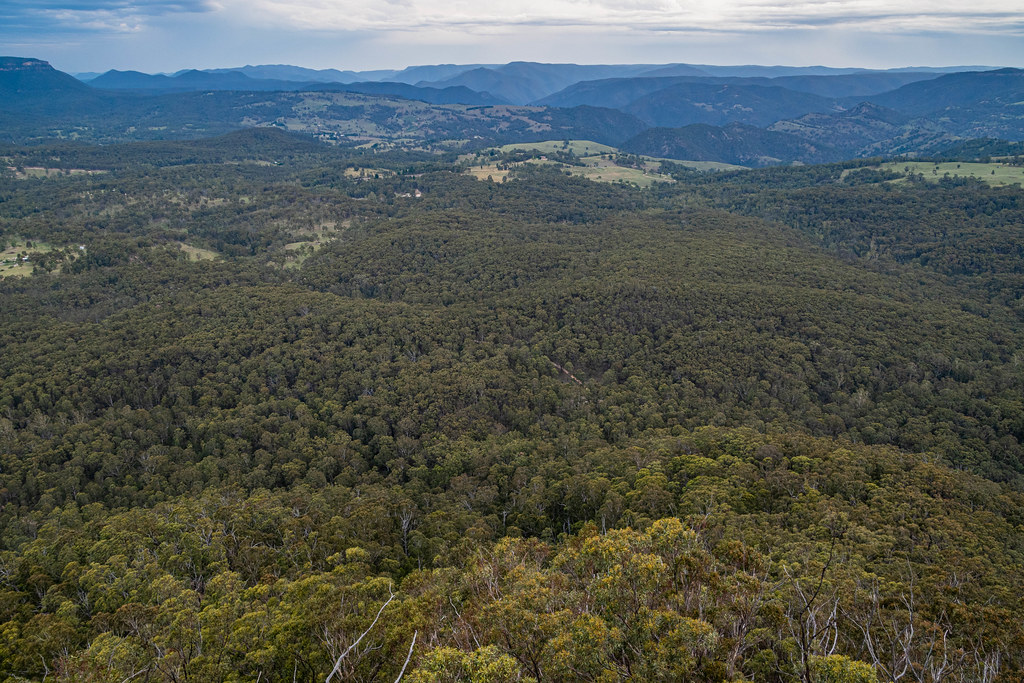 Hargraves Lookout (Shipley Plateau, Blue Mountains) Flickr