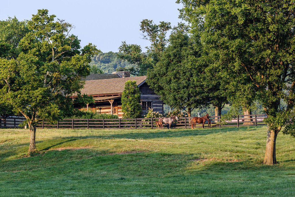Tennessee Mountain Home (Explored Aug. 5, 2016) Tim Lumley Flickr