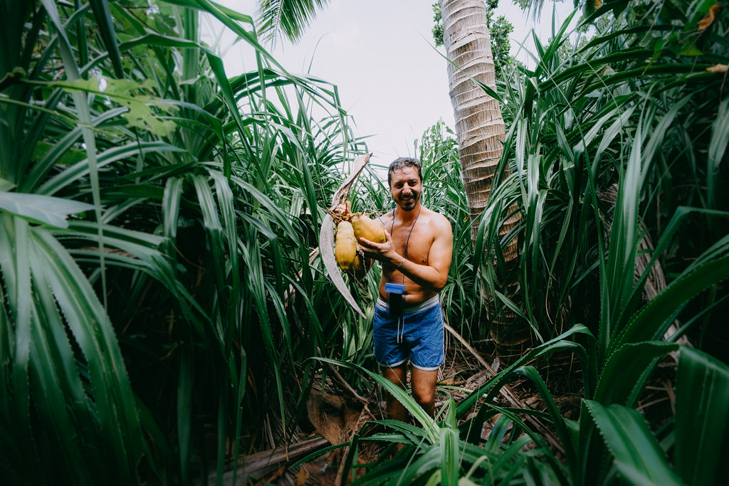 Finally got the coconuts off the tree, Ishigaki Island, Ok… Flickr