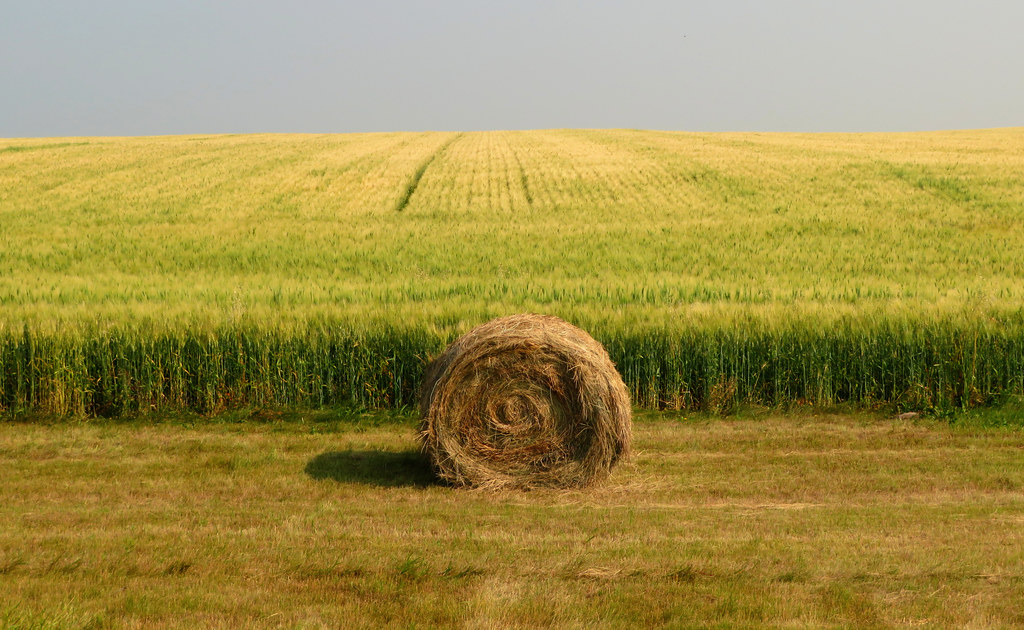 North Dakota Highway 43, Turtle Mountain State Recreationa… Flickr