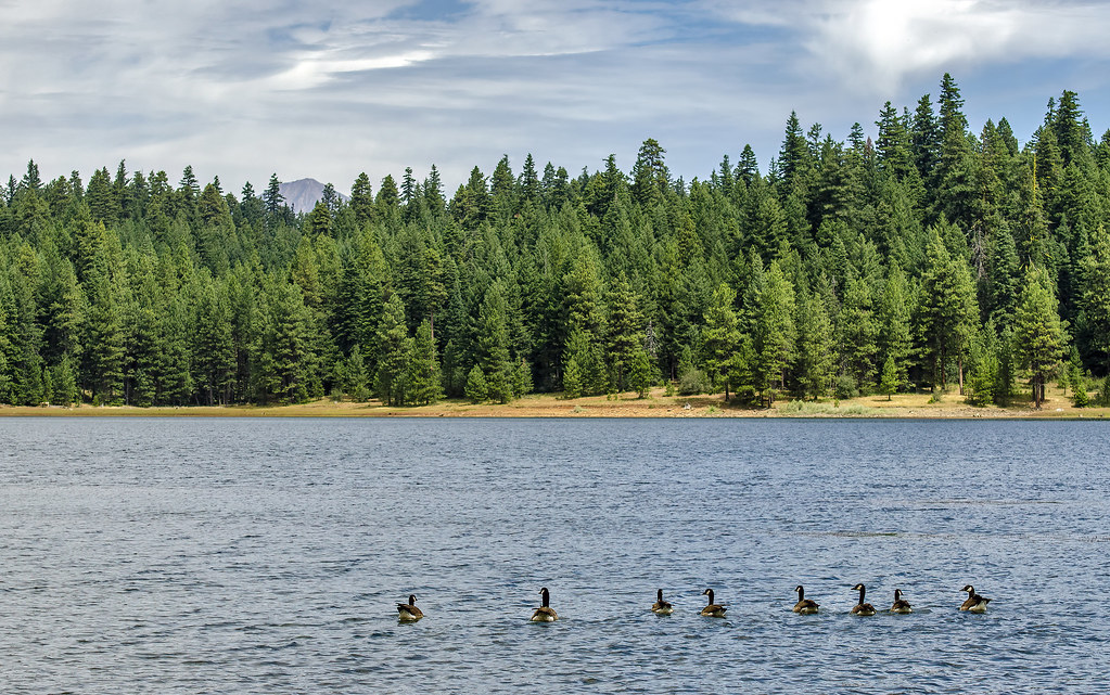 Howard Prairie Lake Al Case