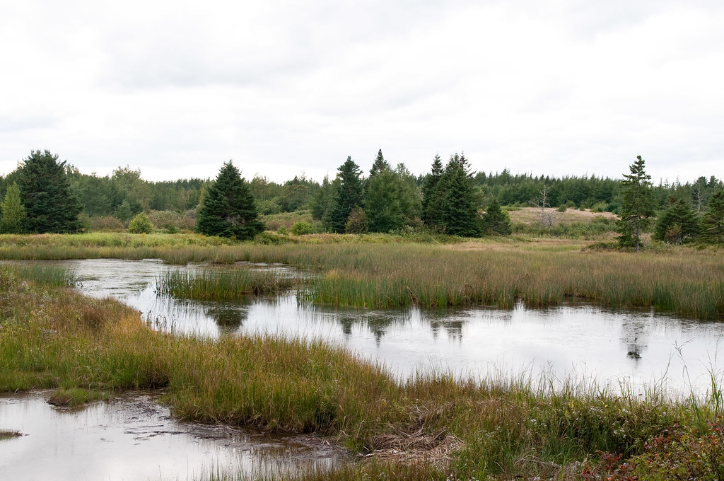 Kouchibouguac NP Kouchibouguac NP Tweedie Trail Michele C Flickr
