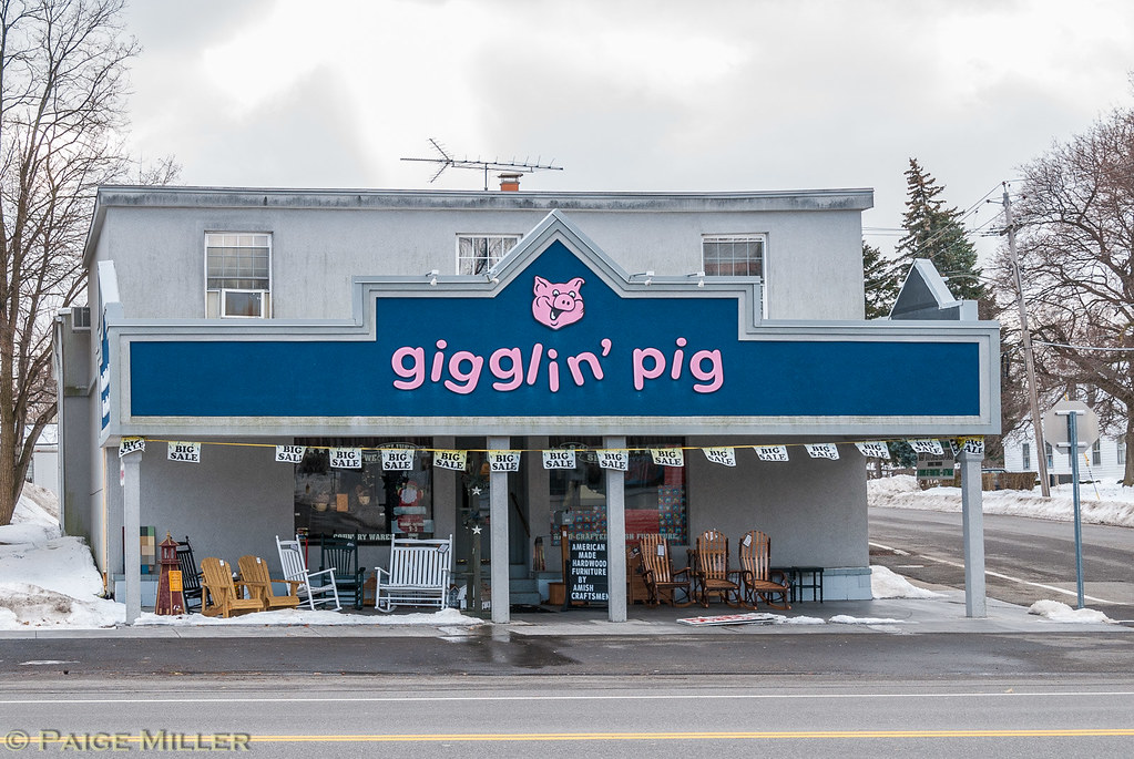 Caledonia, NY Gigglin' Pig (Amish furniture store) Paige Miller