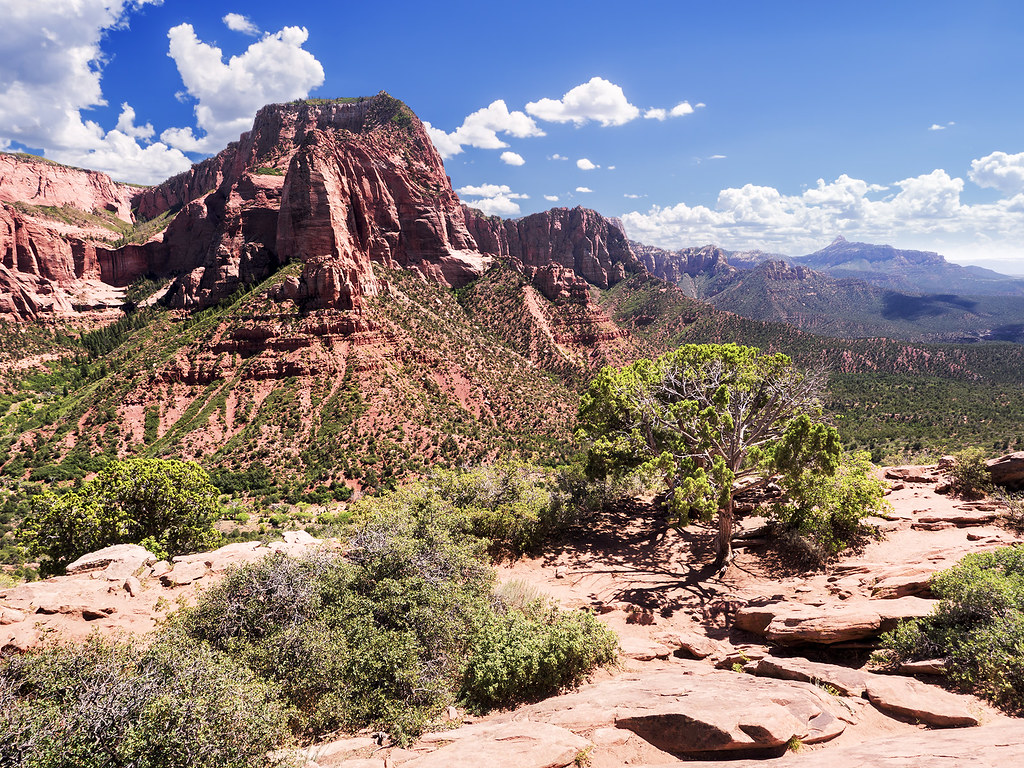 Timber Top Mountain and Shuntavi Butte, Zion National Park… Flickr