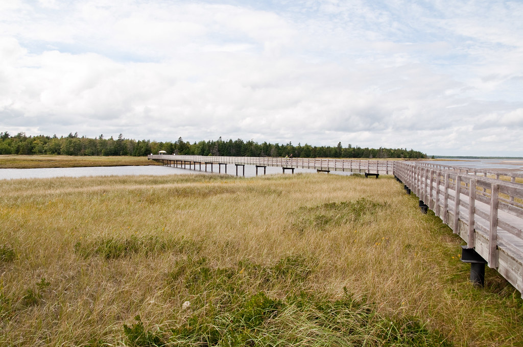 Kouchibouguac NP Kouchibouguac NP Michele C Flickr