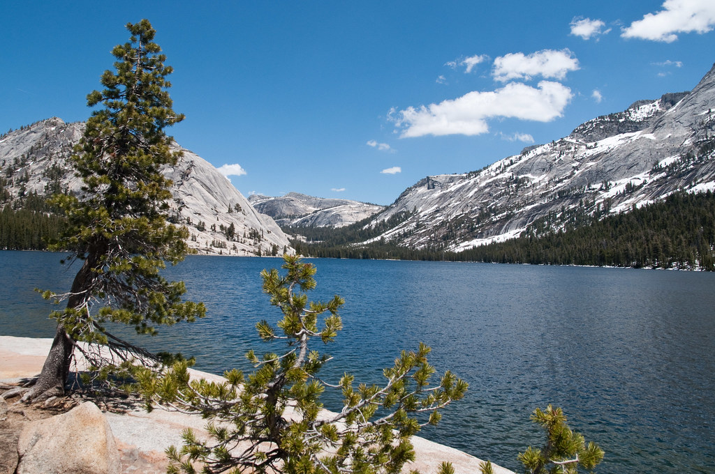 Yosemite NP Tioga Road Tioga Pass Michele C Flickr