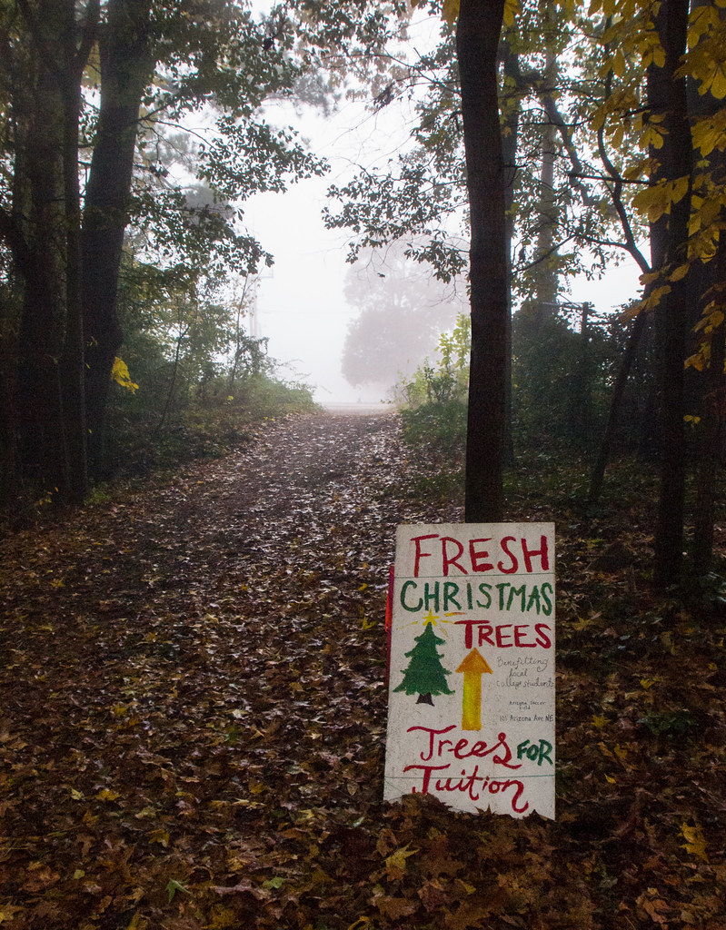 Krampus Christmas trees? Dare I? Gilliam Park Atlanta (Kir… Flickr