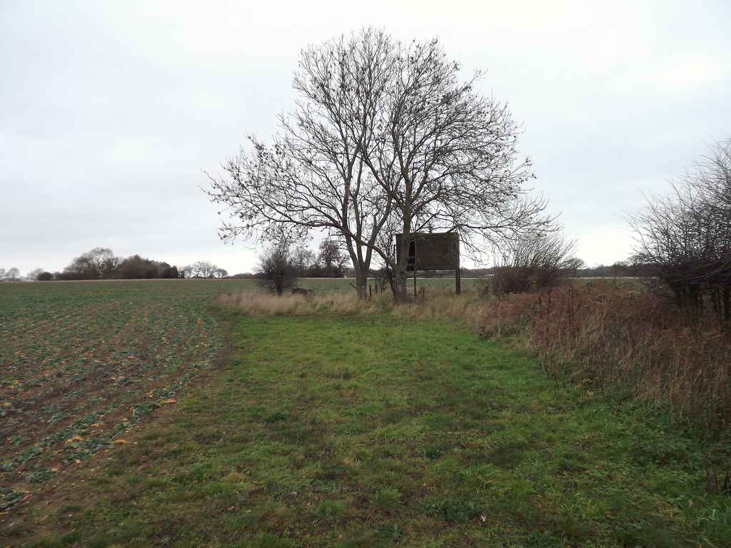 Wood Norton, Norfolk. Flickr