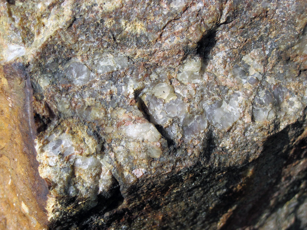 Radioactive quartzpebble conglomerate (Matinenda Formatio… Flickr