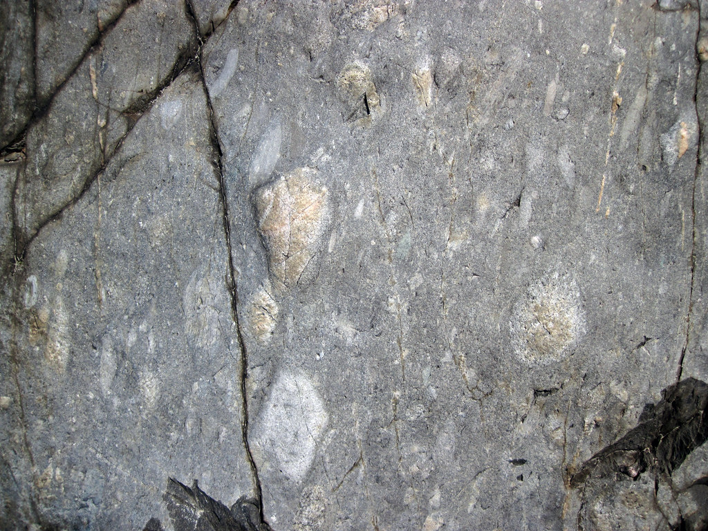 Clastrich mixtite (Coleman Member, Gowganda Formation, Pa… Flickr