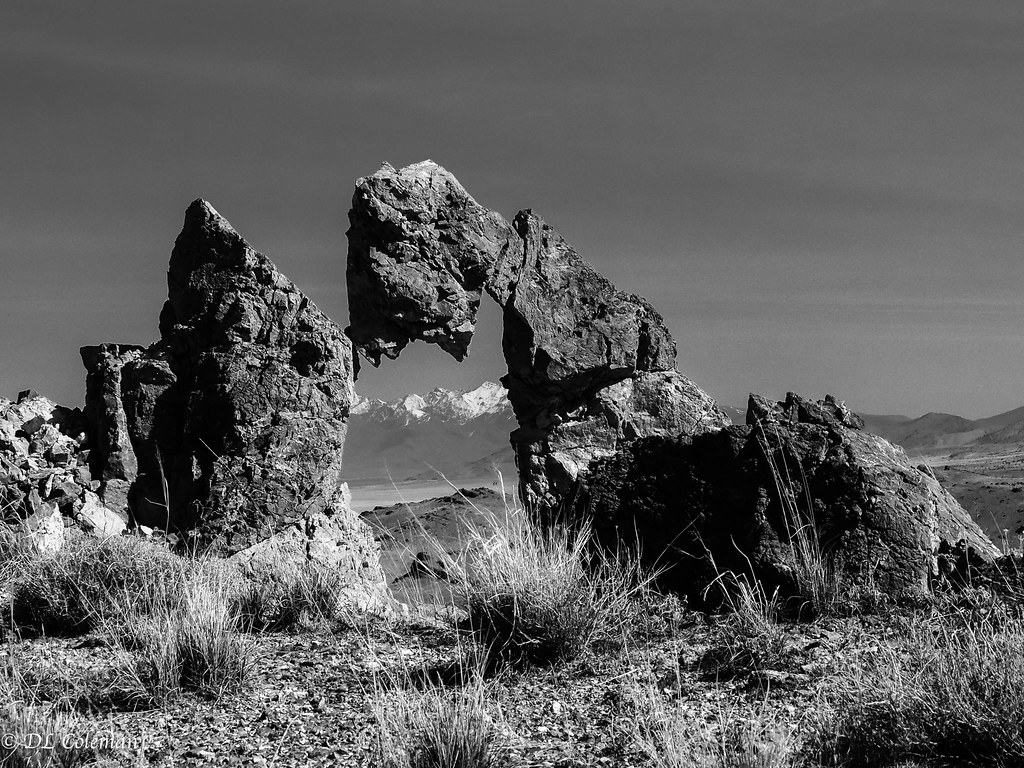 Always something interesting in the desert West Desert, UT… Chub G