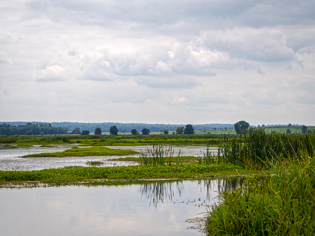 Swamp 1 Goose Pond, Linton, Indiana, USA Randall McRoberts Flickr