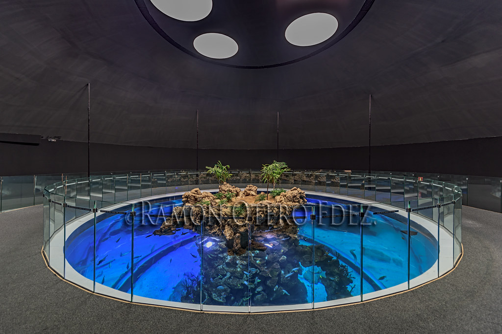 Poema del Mar aquarium Las Palmas de Gran Canaria ROF6… Flickr