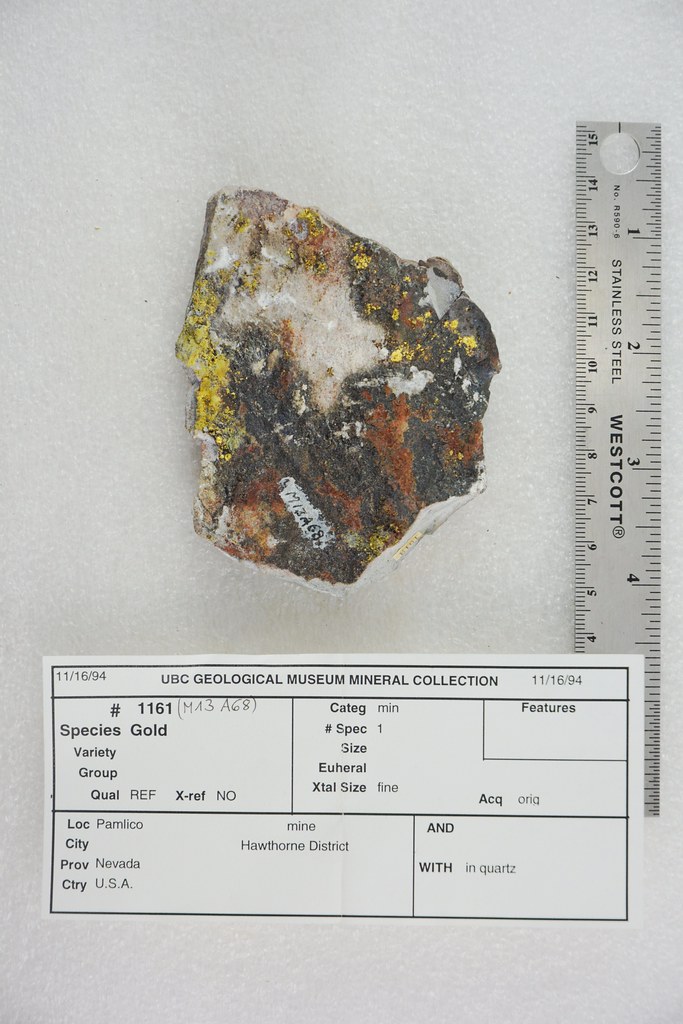 Gold in Quartz Pamlico Mine, Hawthorne District Nevada, US… Pacific