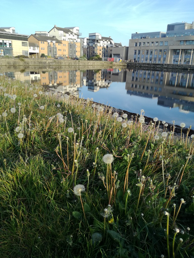 Rennie's Isle and the Scottish Executive, Leith, May 2019 Flickr