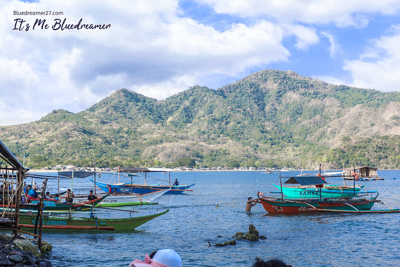 Papaya Island Cove A Hidden Paradise in Nasugbu It's Me Bluedreamer!