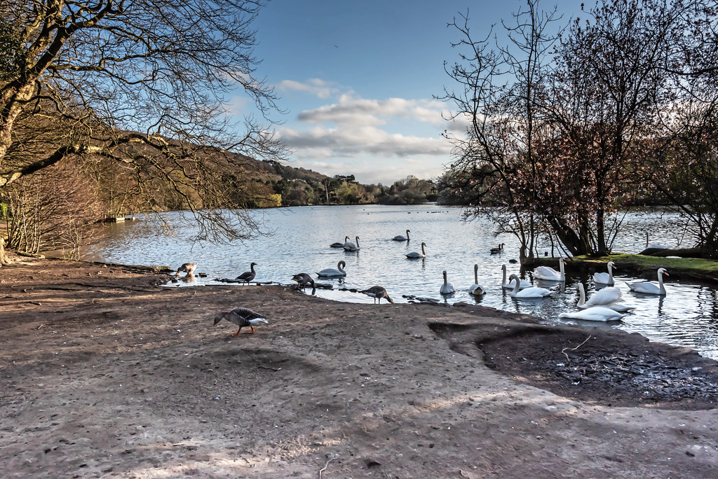 Scarborough Mere Last day of Winter an afternoon photograp… Flickr