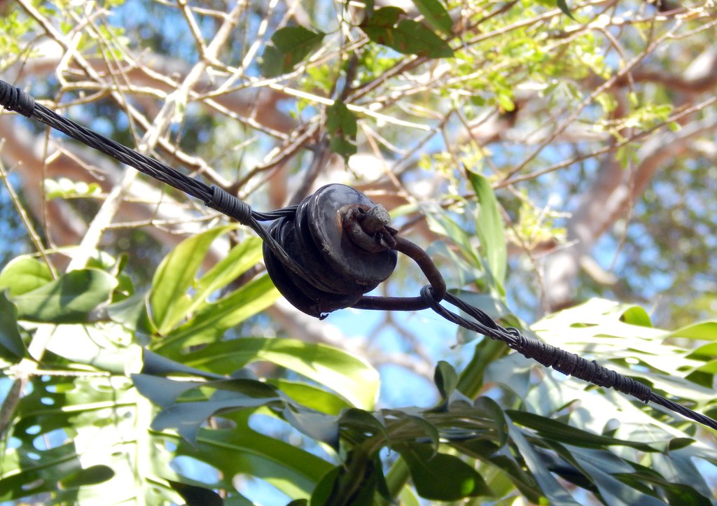 Ex Tramway Reserve, Lawry Plunkett Reserve, Mosman, Sydney… Flickr