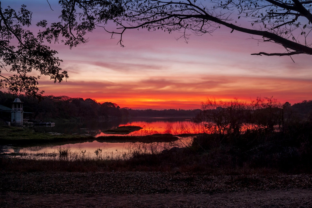 Kukkarahalli Lake, Mysore A dramatic sunset at the popular… Flickr