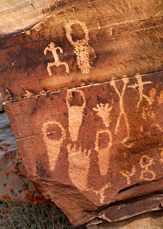 Gold Butte National Monument Petroglyphs // ADVENTR.co