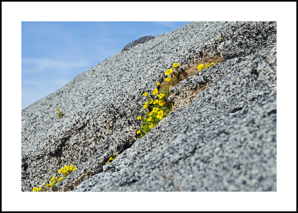 Elevation of Rembach Ave, Bodfish, CA, USA Topographic Map Altitude Map