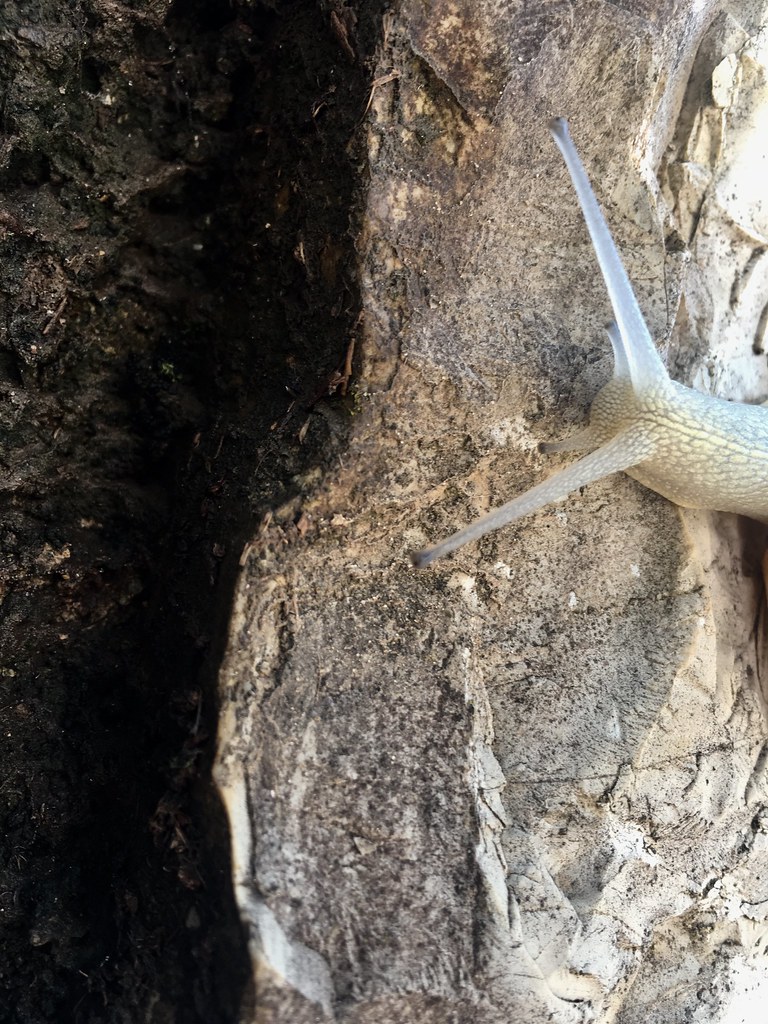 IMG_E1195 Anne Duray Flickr