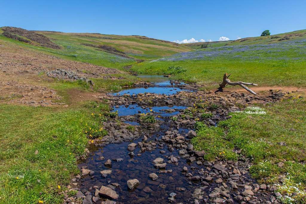 Seasonal Creek North Table Mountain Ecological Reserve, Ca… Flickr