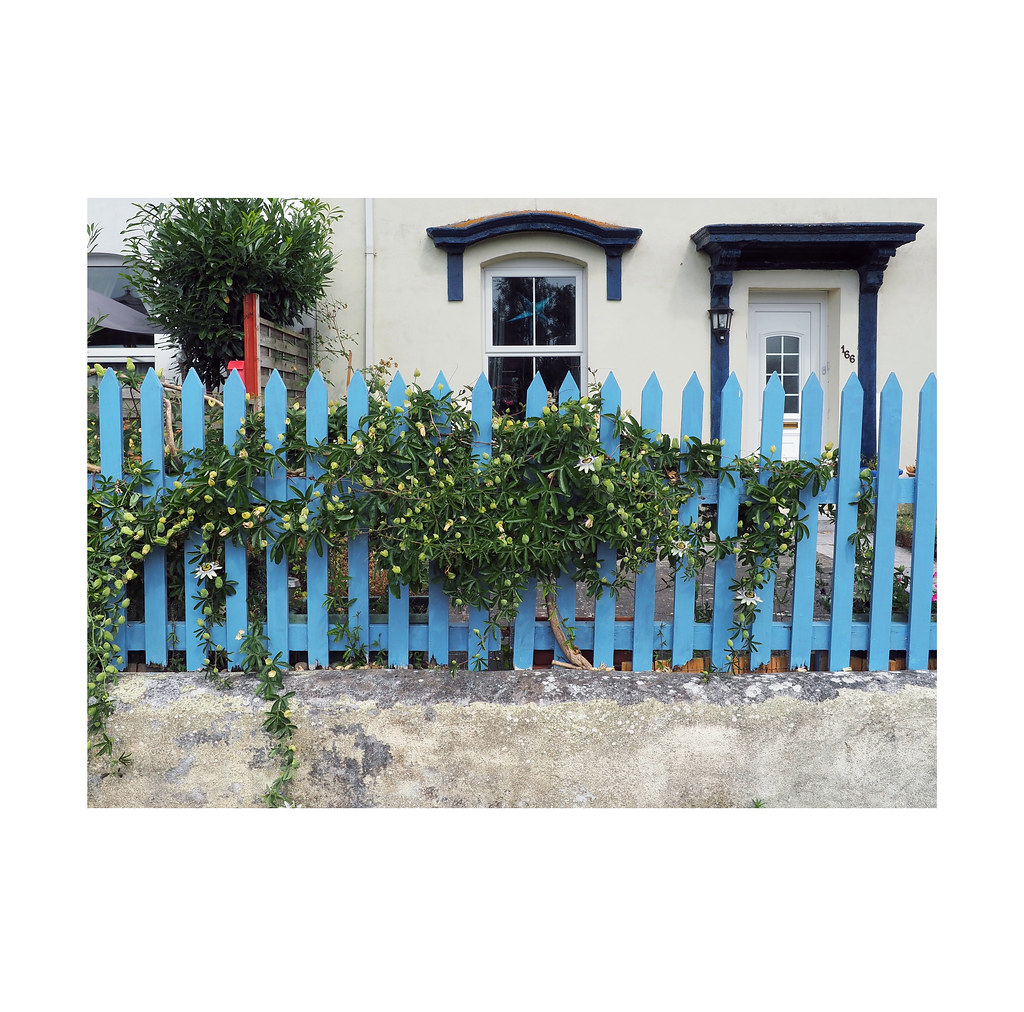 blue fence Devonport, Plymouth, Devon 2018 Chris Flickr