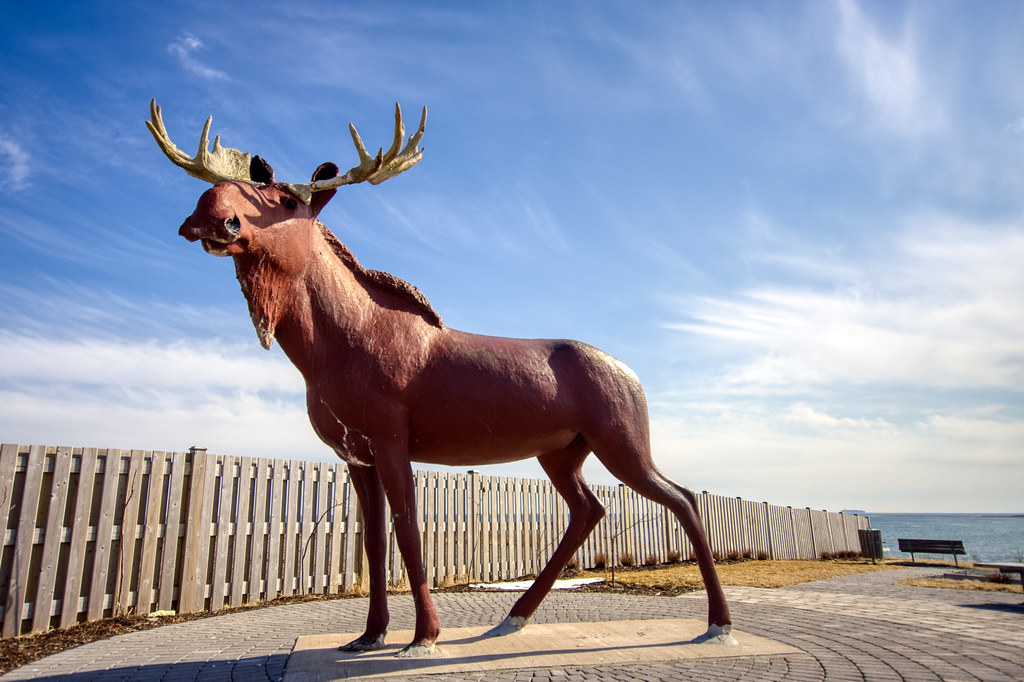 Cow Bay Moose, Cow Bay Nova Scotia img_4566 hdr uc_edited … Flickr