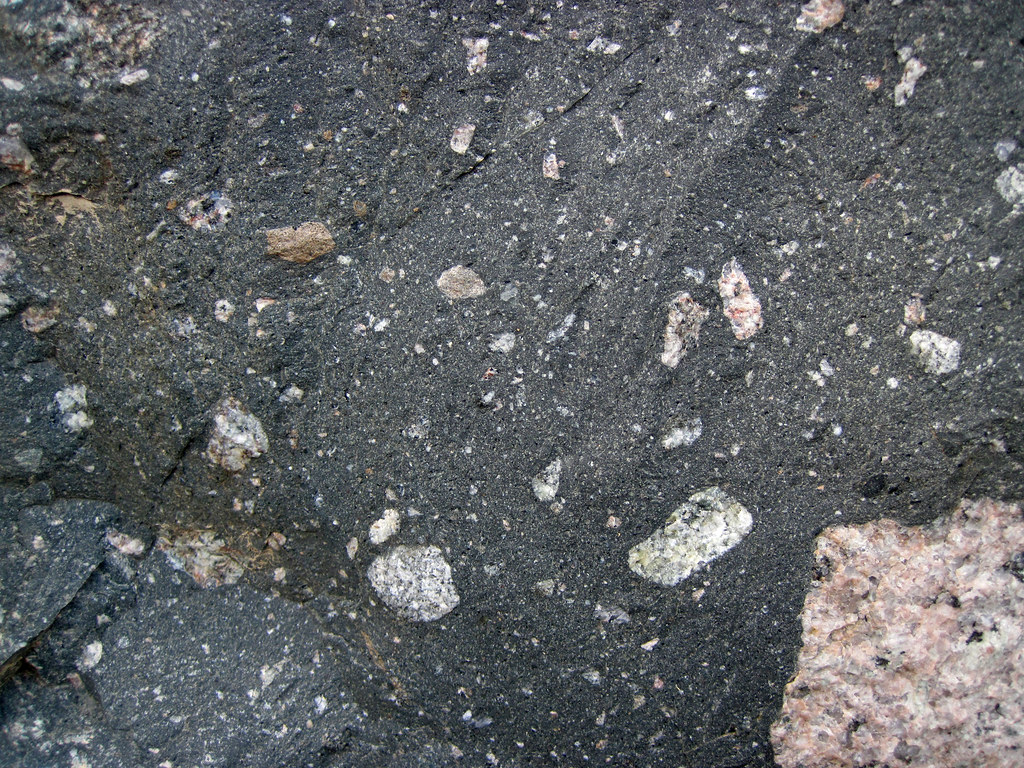 Tillite (Coleman Member, Gowganda Formation, Paleoproteroz… Flickr