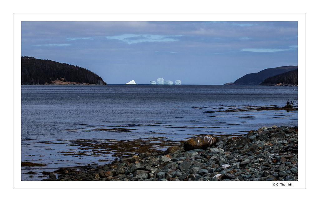 Iceberg 2 Cape Broyle, NL. Clyde Thornhill Flickr