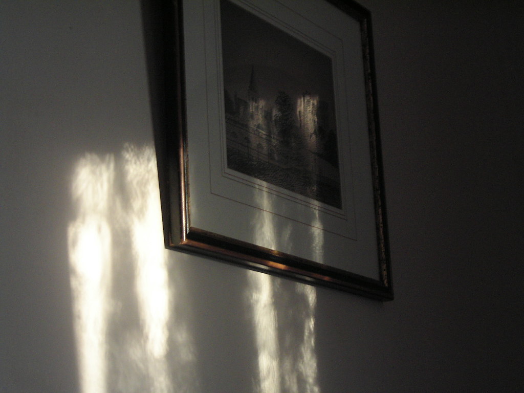 Contax SL300RT* | Taken with my old Contax SL300RT* Just lik… | Flickr