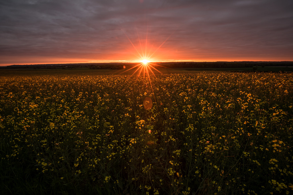 Newton Sunset Neil Squires Flickr