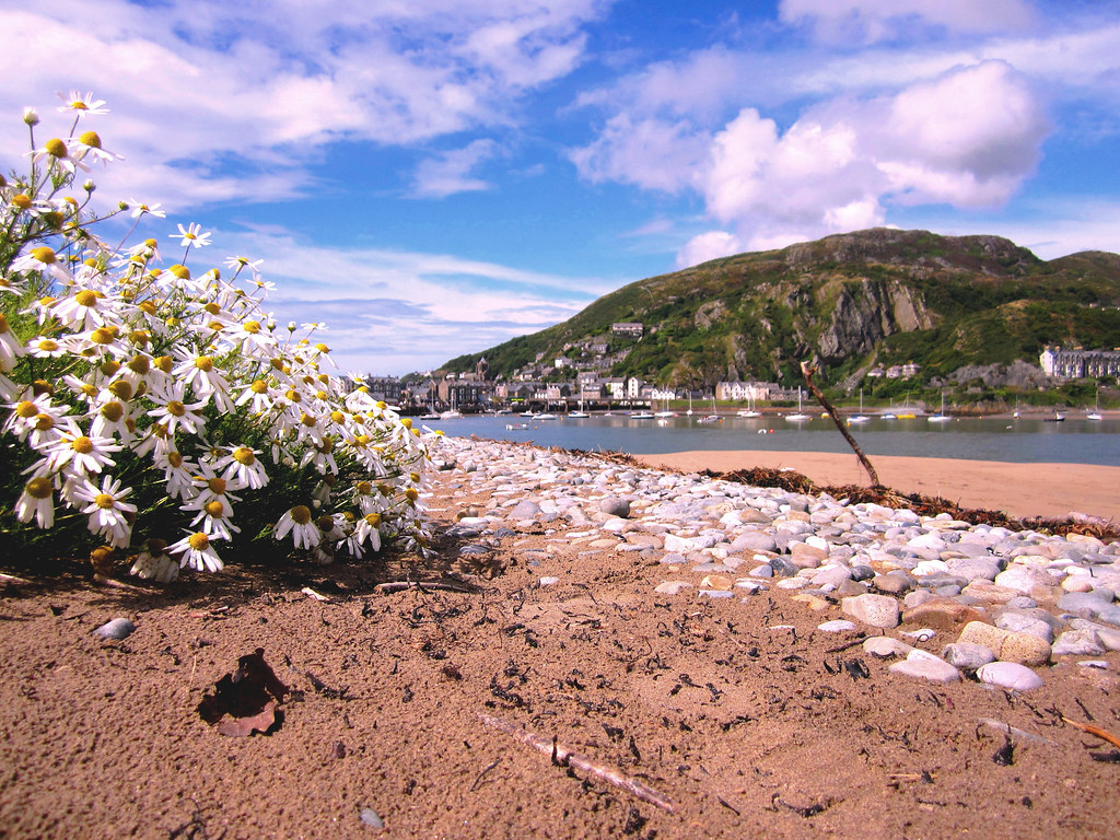 Wales, Fairbourne Barmouth bryan hutchings Flickr