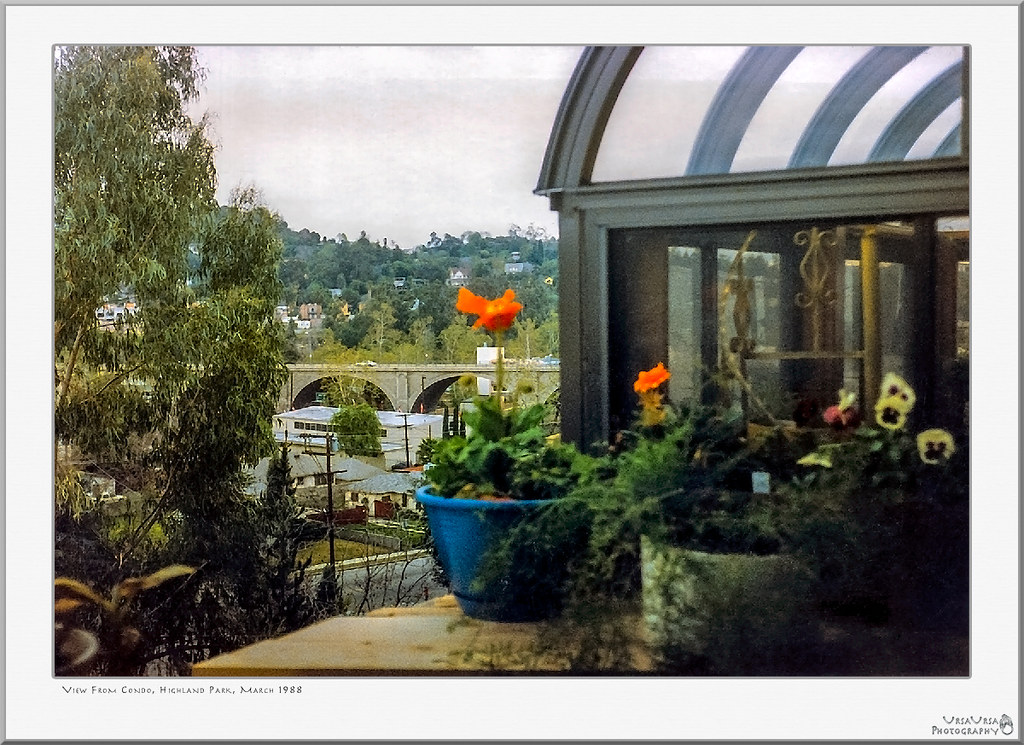 View From Condo, Highland Park, March 1988 View from our c… Flickr