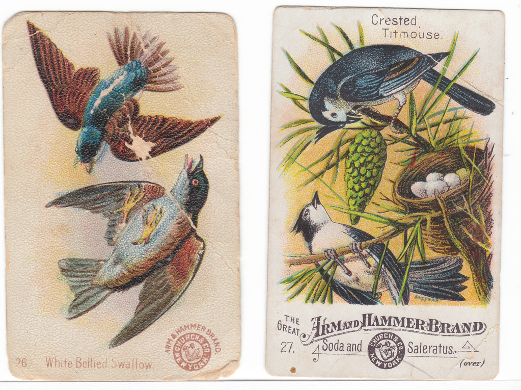 Arm and Hammer Bird Trading Cards undated very old ones Flickr