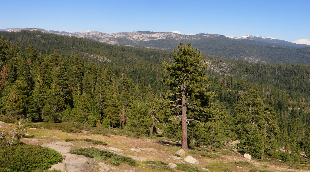 Peddler Hill Overlook, California State Route 88 Between J… Flickr