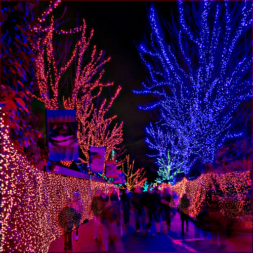 Portland Zoo Lights • Ghosts of Christmas Past from a very… Flickr