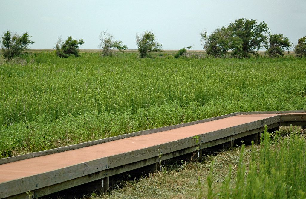 Anahuac National Wildlife Refuge A boardwalk leads through… Flickr