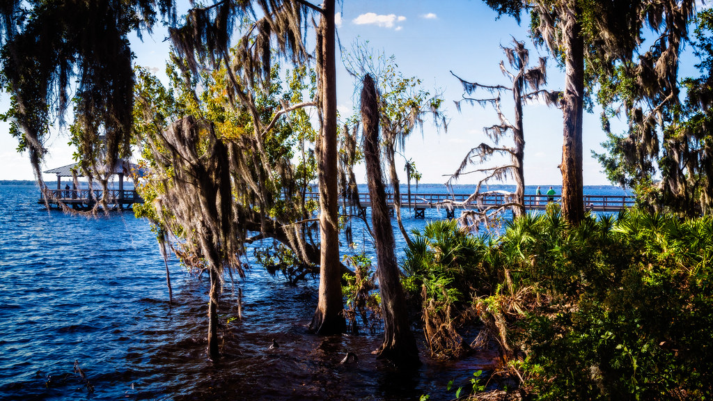 Fishing Pier Riverfront Park Surrounded by a mature tree c… Flickr